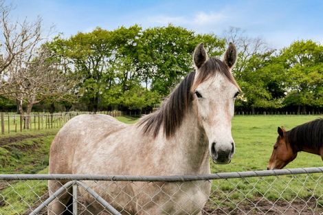 Photo of property in 559 Raukawa Road, Raukawa, Hastings, 4174