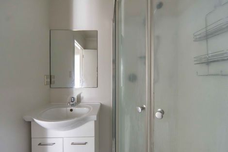 Photo of property in 58 Willoughby Street, Whitiora, Hamilton, 3200