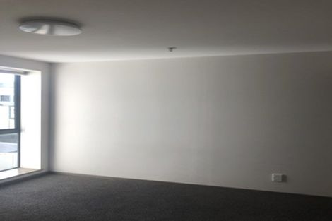 Photo of property in Dual Apartments, 301/142u Vivian Street, Te Aro, Wellington, 6011