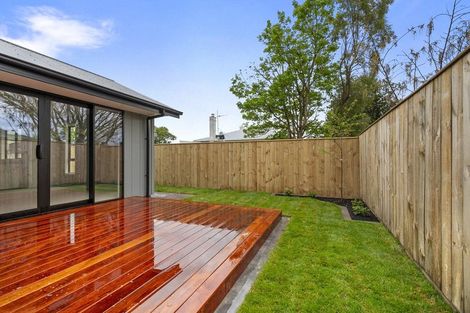 Photo of property in 10 Limbrick Street, Terrace End, Palmerston North, 4410