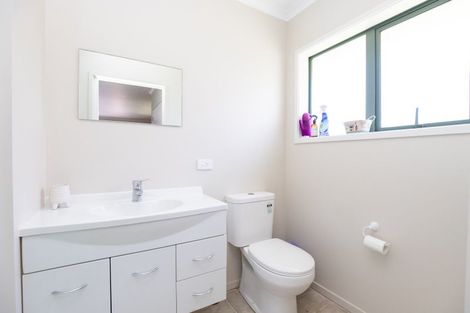 Photo of property in 55 Darlington Street, Ngatea, 3503