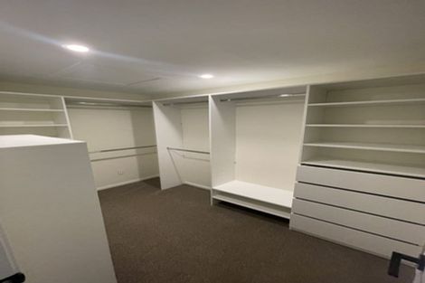 Photo of property in 42 Collie Street, Hillpark, Auckland, 2102