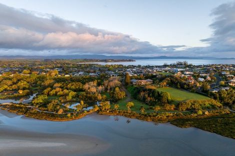 Photo of property in 20 Tinopai Drive, Omokoroa, 3114