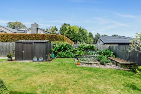 Photo of property in 40 Mervyn Place, Ohauiti, Tauranga, 3112