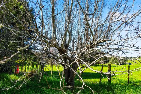 Photo of property in 288 Valley Road, Kaiwaka, 0573
