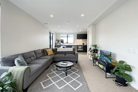 Photo of property in Aniva Terrace, 17 Arney Street, Newtown, Wellington, 6021