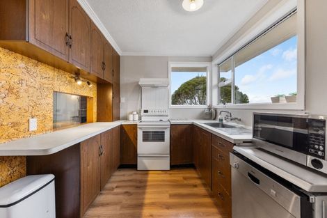 Photo of property in 18 Wills Street, Balaclava, Dunedin, 9011