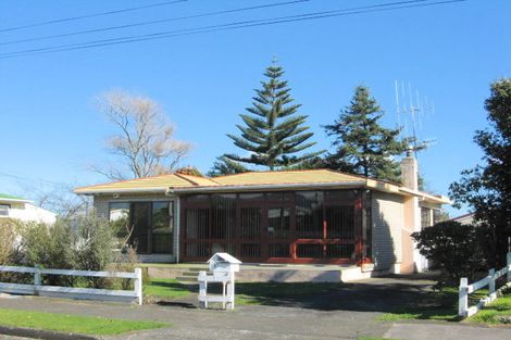 Photo of property in 19 Ferguson Street, Levin, 5510