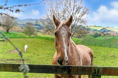 Photo of property in 1001 Whirinaki Valley Road, Ngakuru, Rotorua, 3077