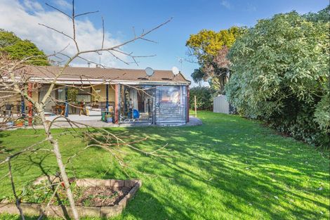 Photo of property in 29a Sussex Street, Levin, 5510
