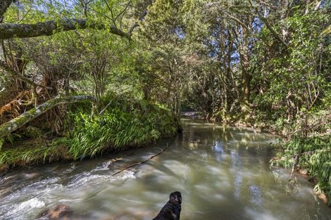 Photo of property in 1058 Old Mountain Road, Waitetuna, Raglan, 3295