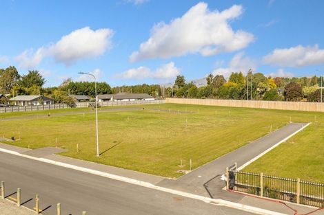 Photo of property in 485 Hills Road, Marshland, Christchurch, 8051