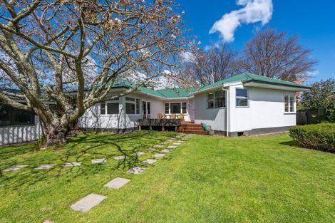 Photo of property in 1001 Rata Street, Mahora, Hastings, 4120