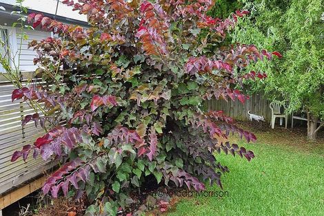 Photo of property in 45 Gorge Road, Maungaturoto, 0520