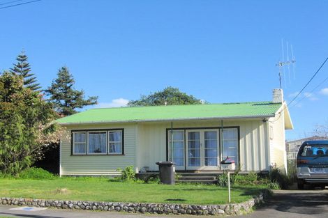 Photo of property in 21 Ferguson Street, Levin, 5510