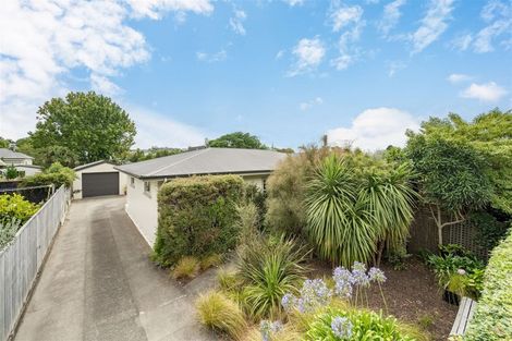 Photo of property in 6 Brook Street, The Brook, Nelson, 7010