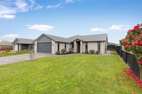 Photo of property in 78 Station Road, Matamata, 3400