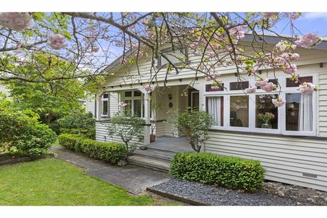 Photo of property in 17 Fow Street, Hamilton Central, Hamilton, 3204