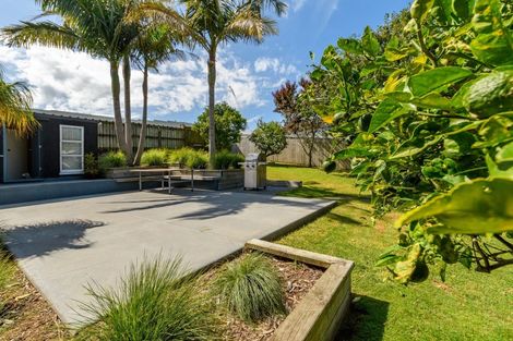 Photo of property in 36 Monmouth Street, Tauranga, 3110