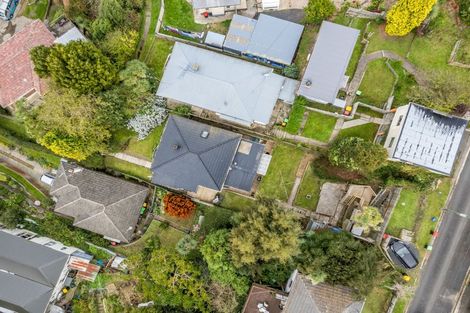 Photo of property in 52 College Street, Caversham, Dunedin, 9012