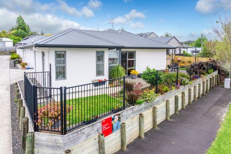 Photo of property in 4u1 Ross View Terrace, Dinsdale, Hamilton, 3204