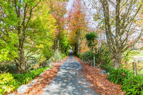 Photo of property in 923 Puketona Road, Haruru, Kerikeri, 0293