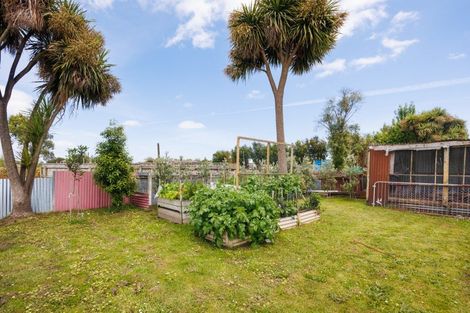 Photo of property in 88 Avenue Road, Foxton, 4814