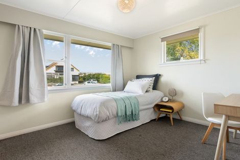 Photo of property in 19 Hale Street, Blenheim, 7201