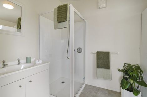 Photo of property in 265 Cape Saunders Road, Cape Saunders, Dunedin, 9077