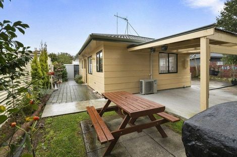 Photo of property in 26a Limbrick Street, Terrace End, Palmerston North, 4410