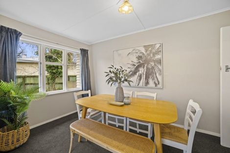 Photo of property in 19 Hobson Street, Levin, 5510