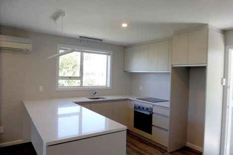 Photo of property in 25 Plynlimon Road, Fendalton, Christchurch, 8052