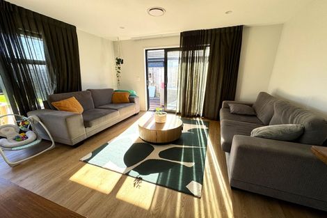 Photo of property in 45 Accolade Street, Feilding, 4702