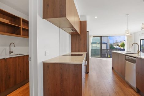 Photo of property in 47 Canon Street, St Albans, Christchurch, 8014