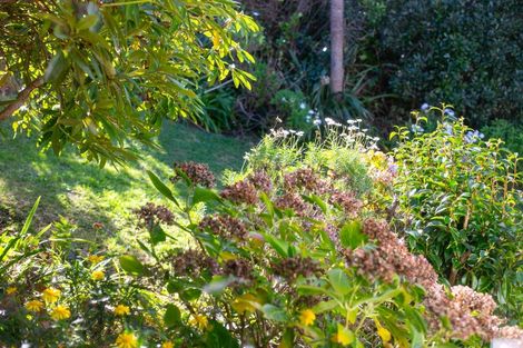 Photo of property in 2 Waipapa Road, Hataitai, Wellington, 6021