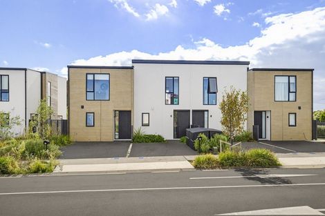 Photo of property in 69 Pipi Place, Levin, 5510