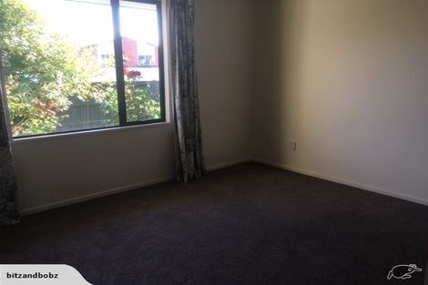 Photo of property in 34 Beckford Road, Saint Martins, Christchurch, 8022