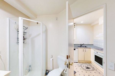 Photo of property in Courtenay Apartments, 509/120 Courtenay Place, Te Aro, Wellington, 6011