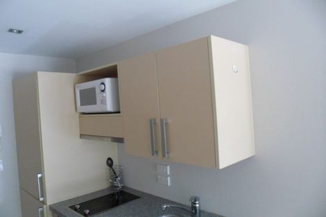 Photo of property in Dual Apartments, 108/142u Vivian Street, Te Aro, Wellington, 6011
