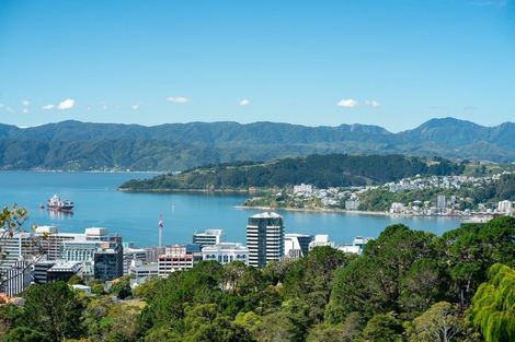 Photo of property in 62 Orangi Kaupapa Road, Northland, Wellington, 6012