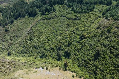 Photo of property in 742 Rameka Creek Road, East Takaka, Takaka, 7183