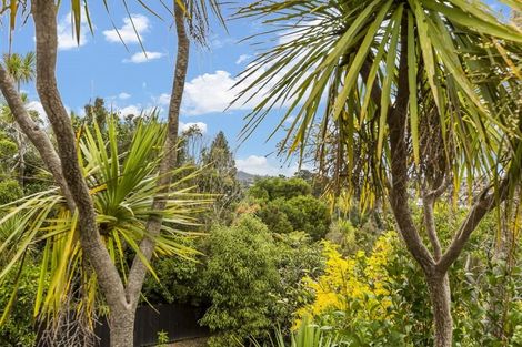 Photo of property in 1/19 Limmer Place, Browns Bay, Auckland, 0632