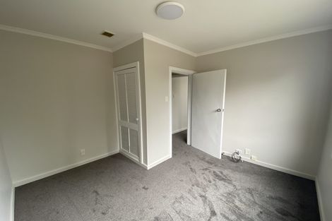 Photo of property in 21 Griffiths Avenue, Linwood, Christchurch, 8062