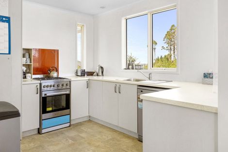 Photo of property in 379 Otake Road, Marotiri, Taupo, 3377
