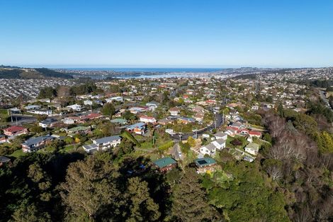 Photo of property in 97 Hillary Street, Liberton, Dunedin, 9010