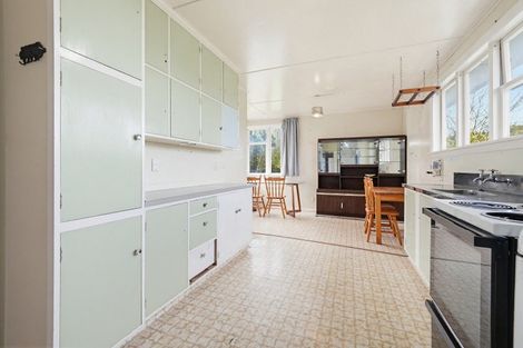 Photo of property in 24 Hawkswood Street, Waiau, 7332