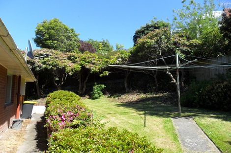 Photo of property in 1 Maori Road, Dunedin Central, Dunedin, 9016