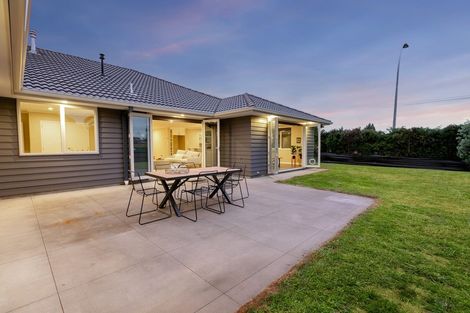Photo of property in 61r Pyes Pa Road, Pyes Pa, Tauranga, 3112