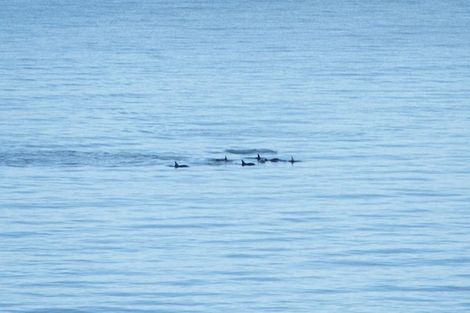 Photo of property in 19 The Crescent, Raumati South, Paraparaumu, 5032