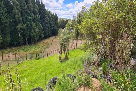 Photo of property in 105 Gorge Road, Maungaturoto, 0520